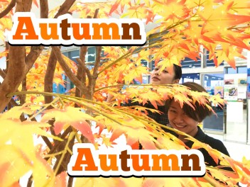 **Autumn Autumn**